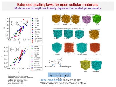 Scaling_cellular_materials_Mangipudi